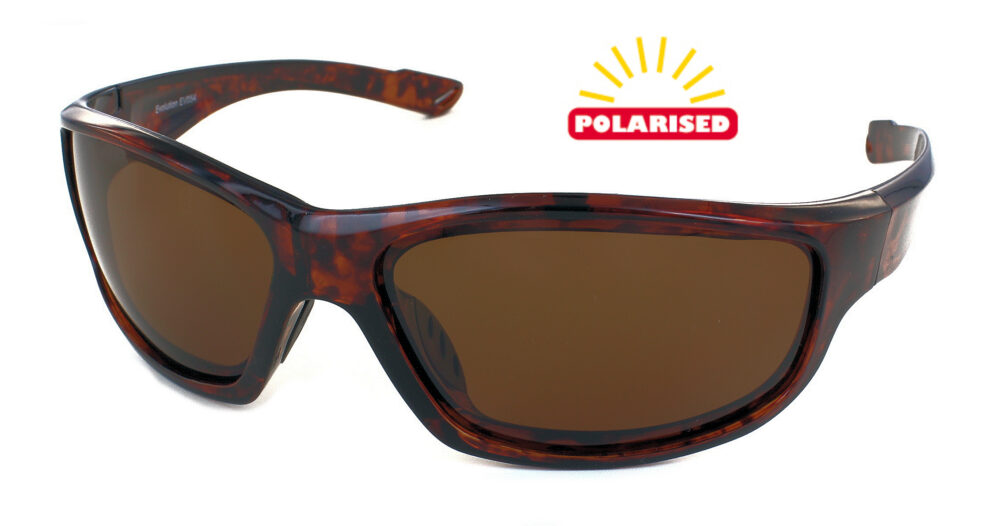 Latitude (Tortoise)