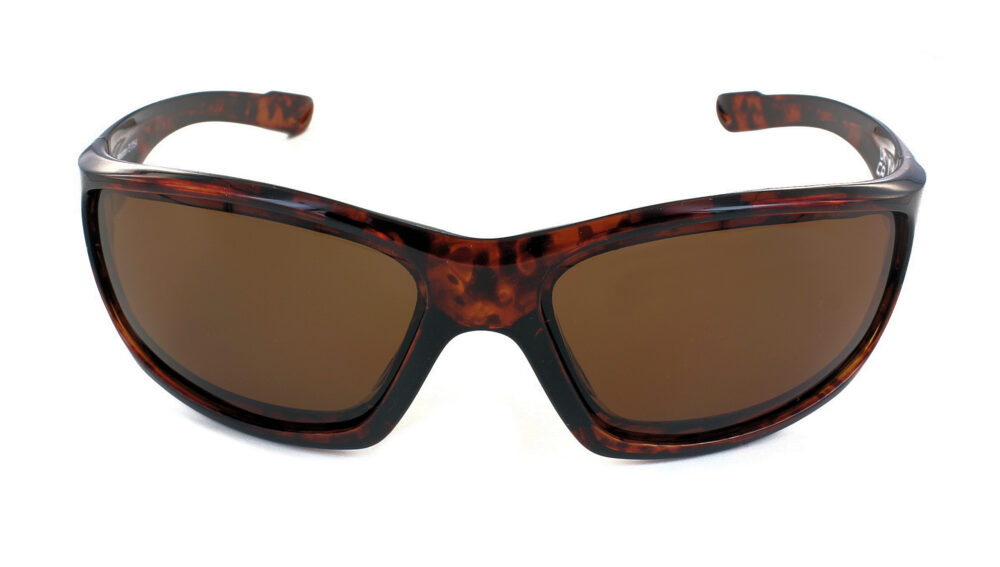 Latitude (Tortoise) - Image 2