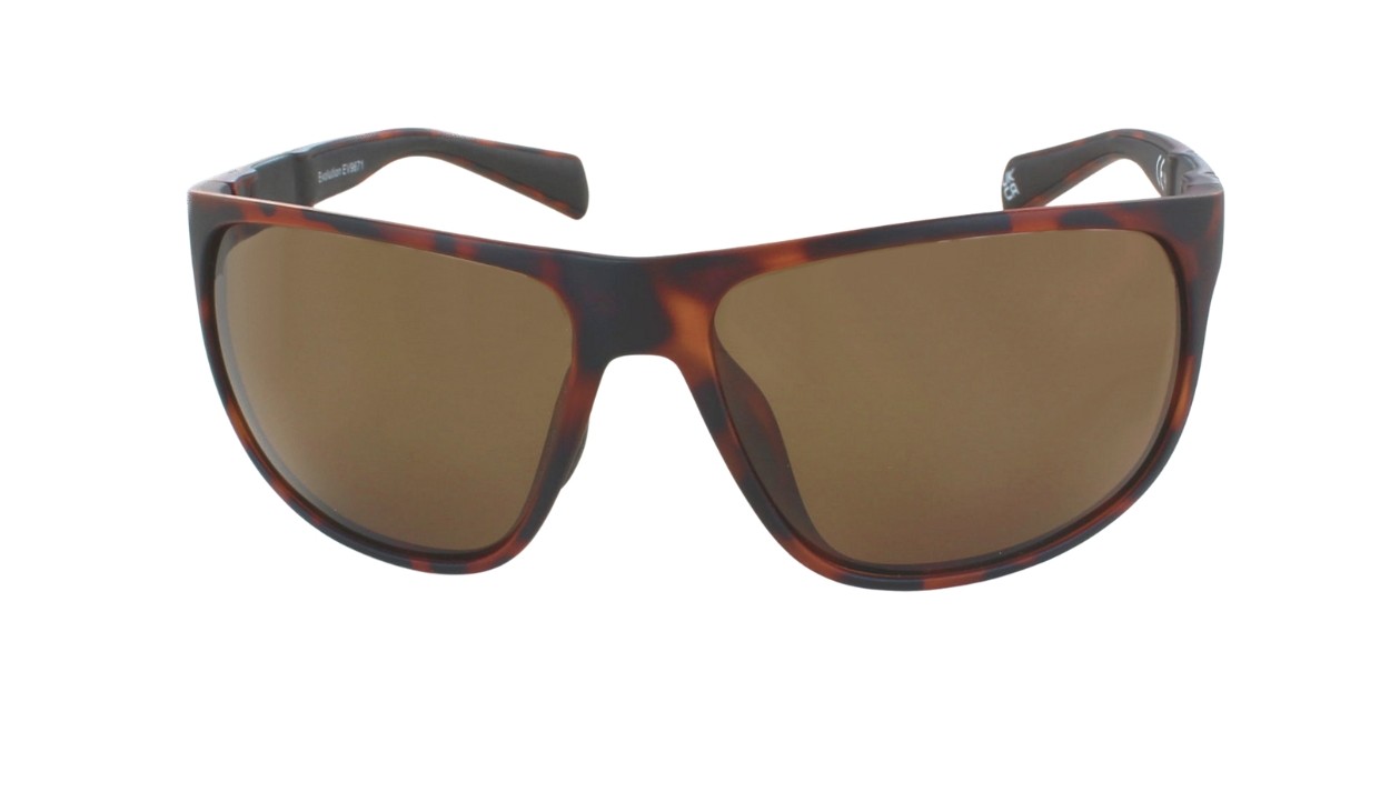 Coast (Tortoise) - Image 2